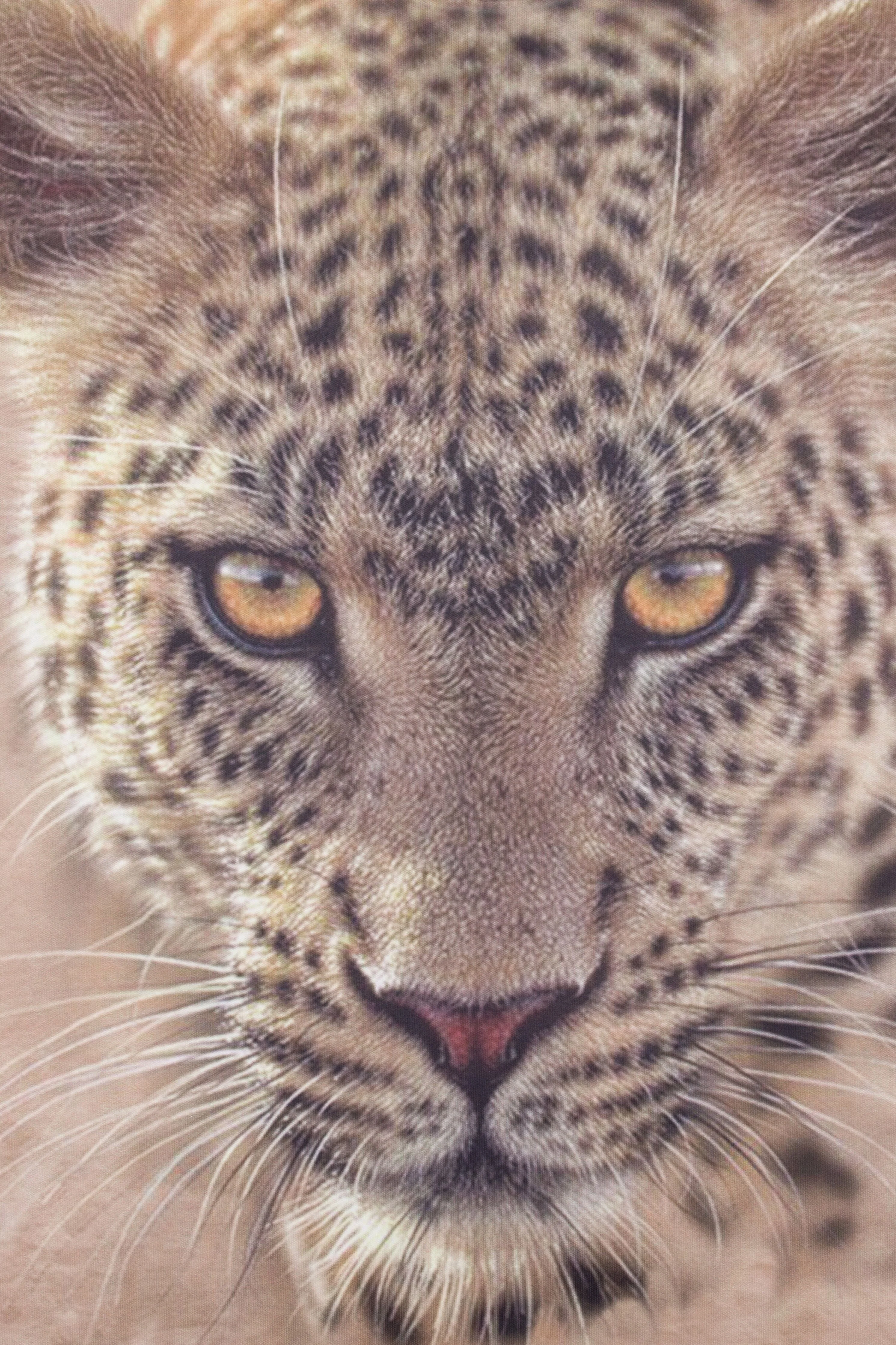 Cheetah Animal Print Short Pyjamas - Image 4